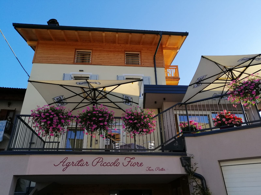 Agritur Piccolo Fiore主图
