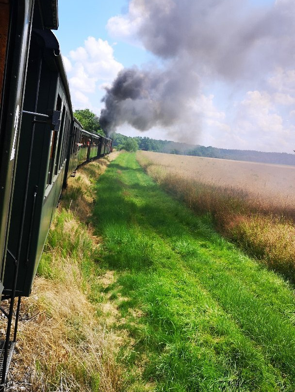 Ochslebahn-Warthausen必去景点