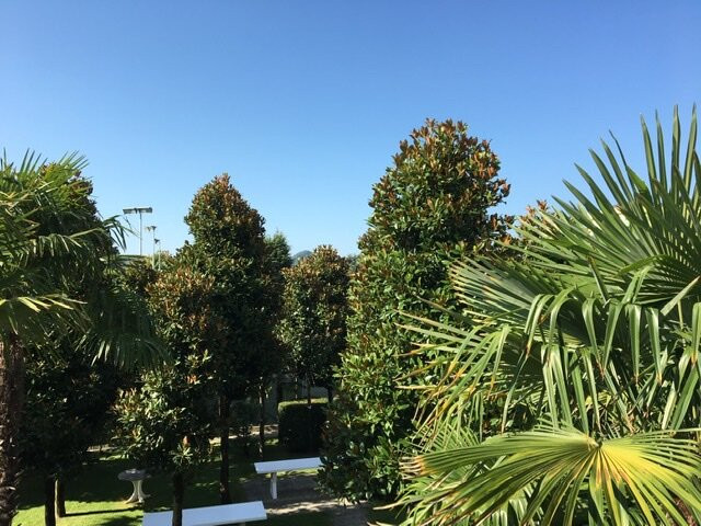 HOTEL TERME METROPOLE Oriental Thermal Spa主图