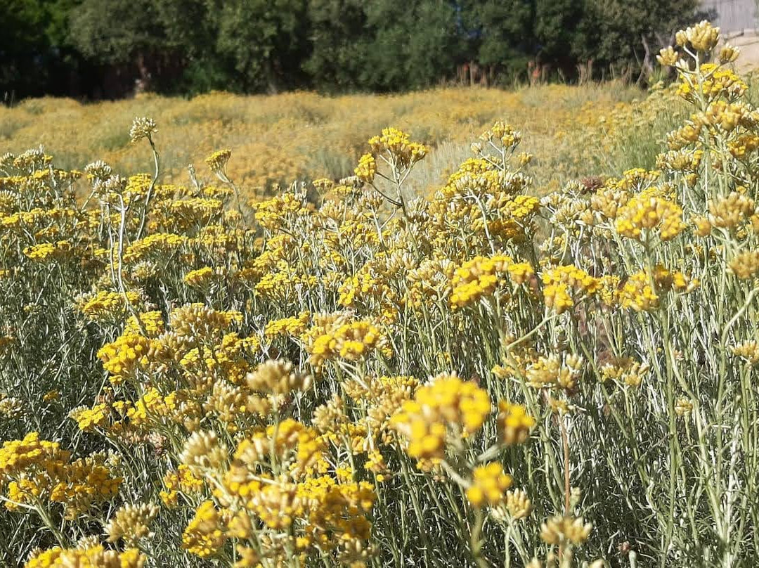 Erboristeria Officinale Sardegna-Luogosanto必去景点