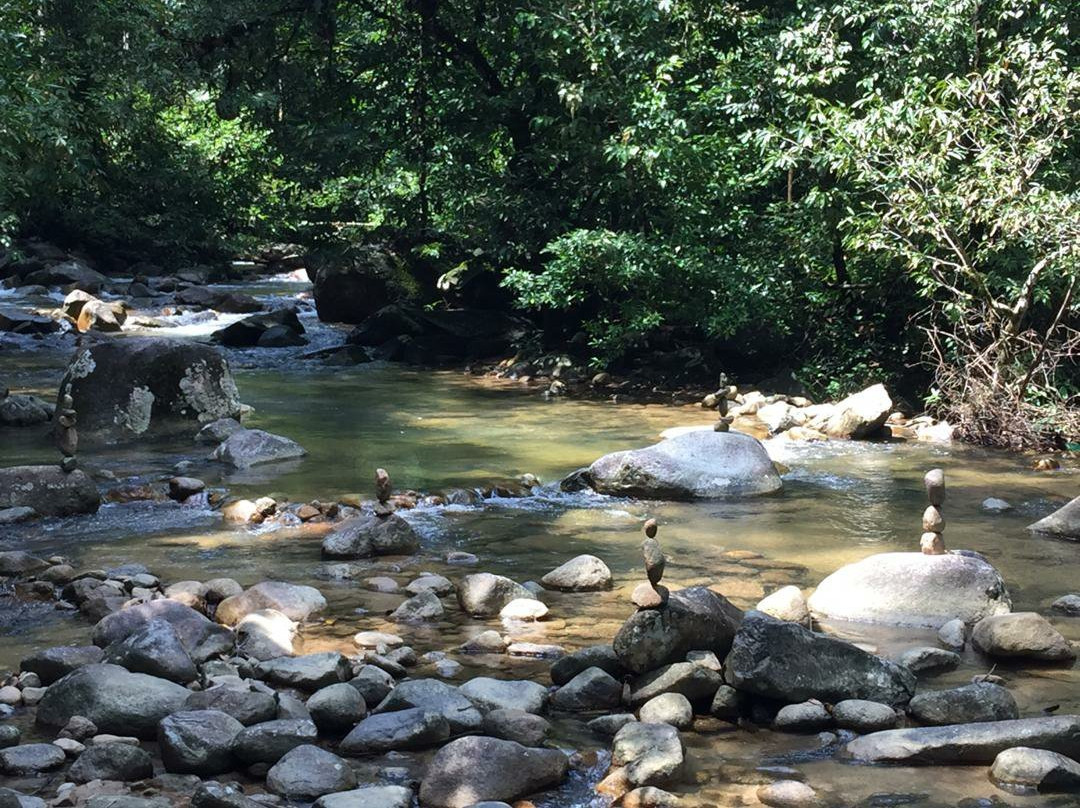Hutan Lipur Sungai Bantang景点图片
