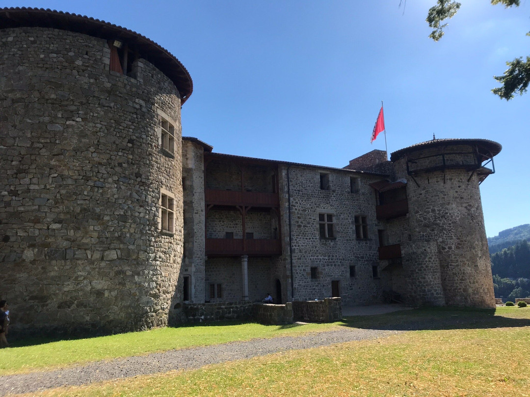 Chateau de la Cheze景点图片