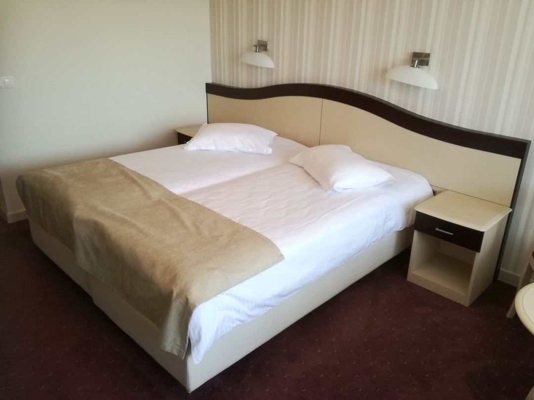 Hotel Caprioara主图