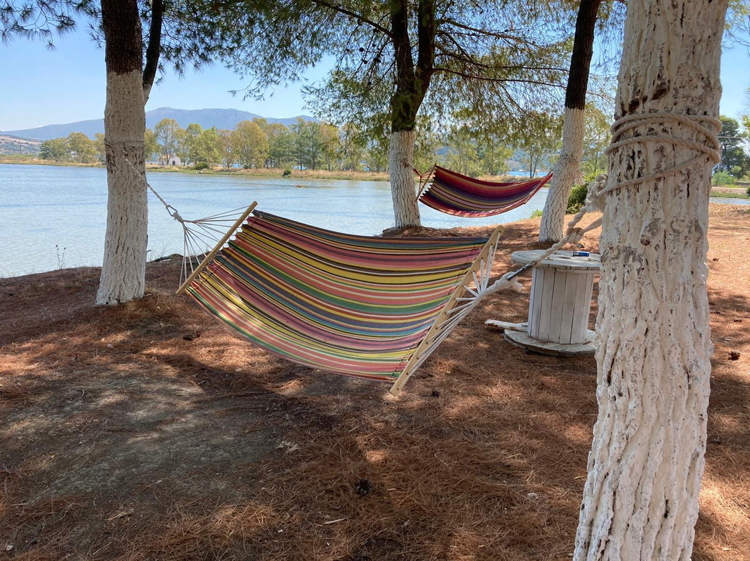 Villa Olga Apartments & Studios主图