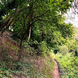 Deddington Castle-Deddington必去景点