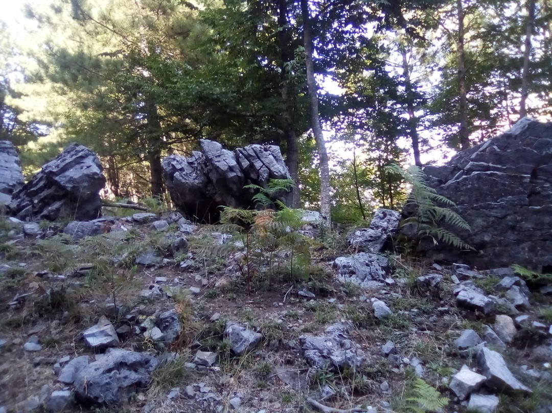 Monte Cocuzzo-Mendicino必去景点