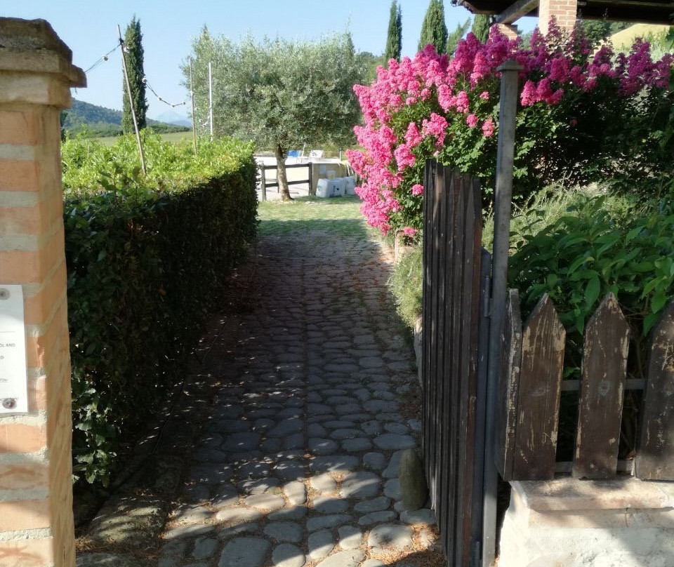 Agriturismo Gli Ippocastani主图