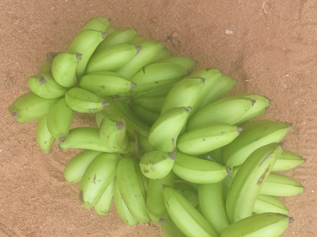 Australia Zoo-Beerwah必去景点