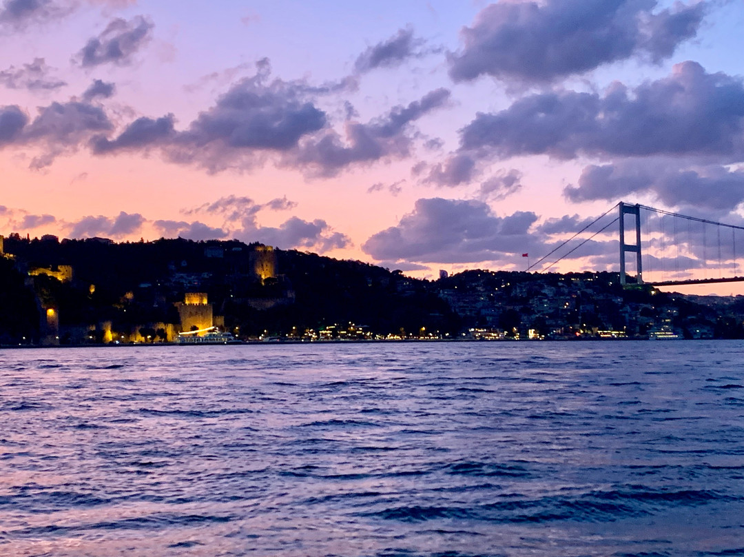 Bosphorus Cruise景点图片