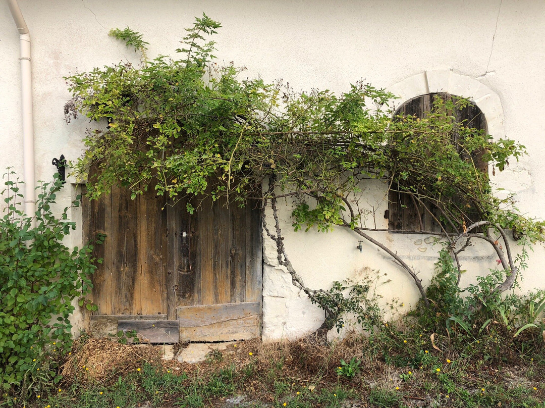 Domaine Raymond Bossis景点图片