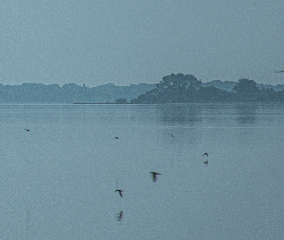 Saints Island-Longford必去景点