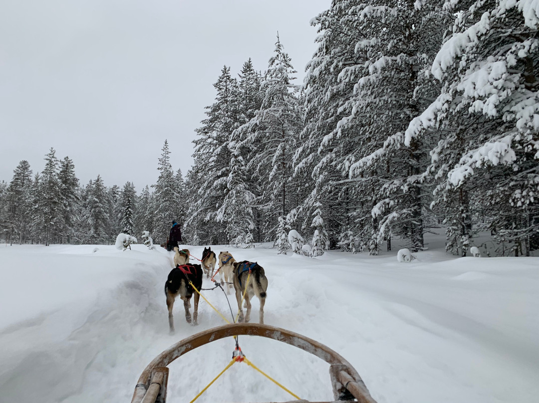 Lapland Travel-Akaslompolo必去景点