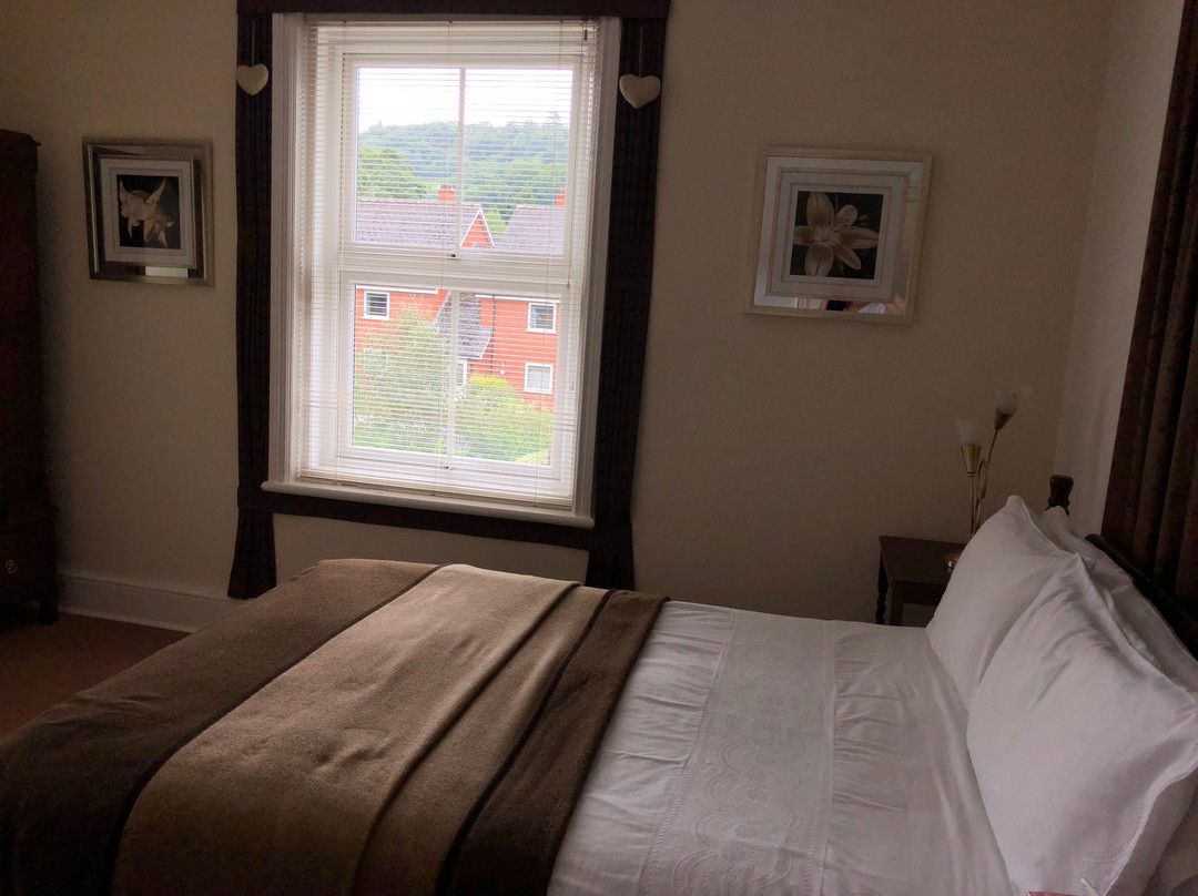 Squirrels Llangollen主图