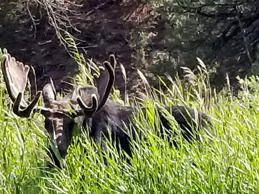 On The Fly Utah-Dutch John必去景点
