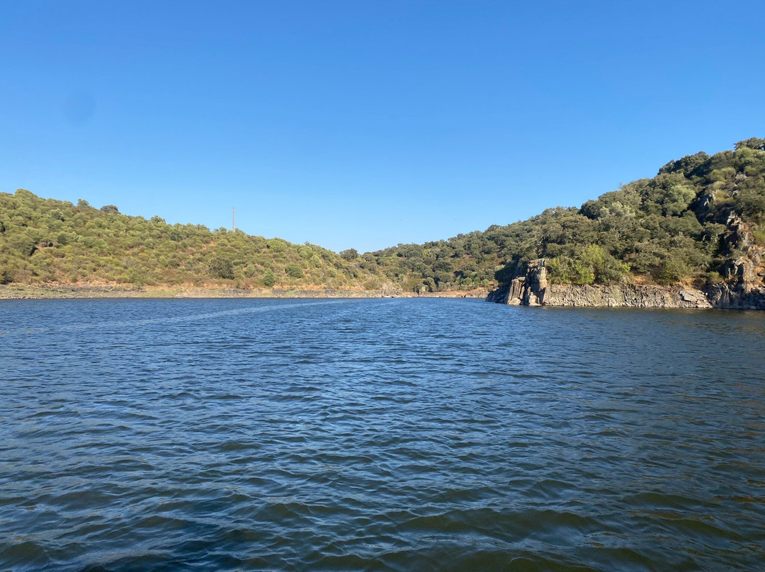Alem Tejo Eco Boat Tours景点图片