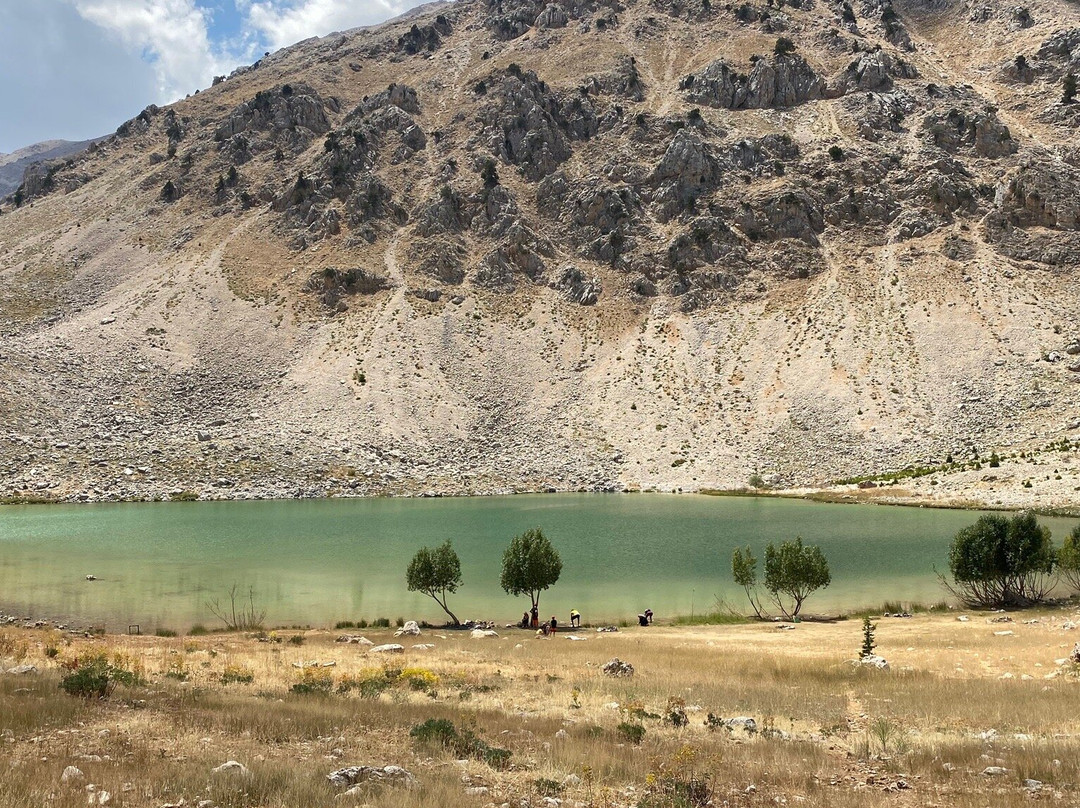 Gombe Yaylasi景点图片