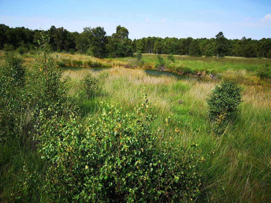 Ewiges Meer-Dornum必去景点