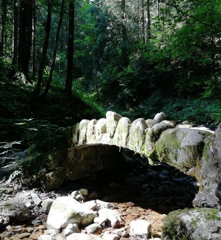 Le Saut de la Bourrique景点图片