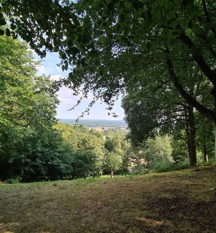 The Deepdene Trail景点图片