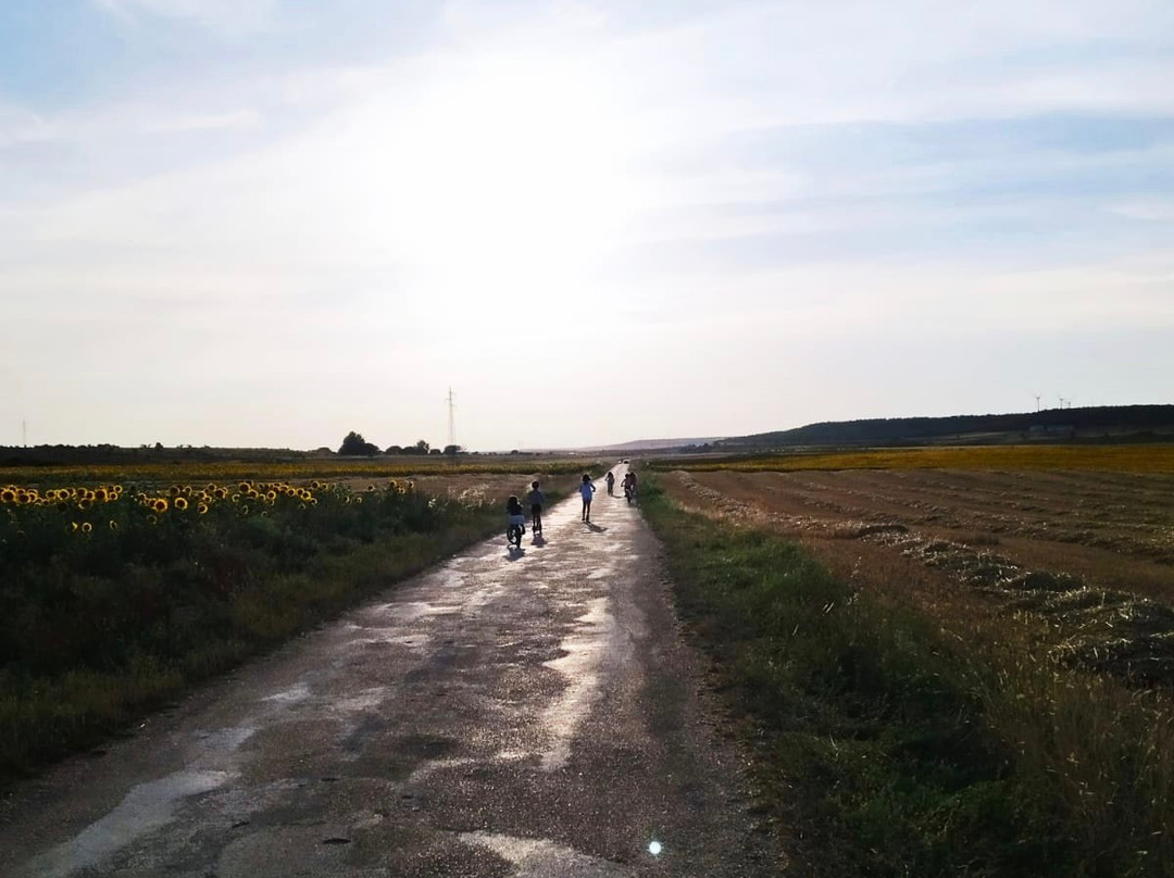 Casa Rural El Brocal主图