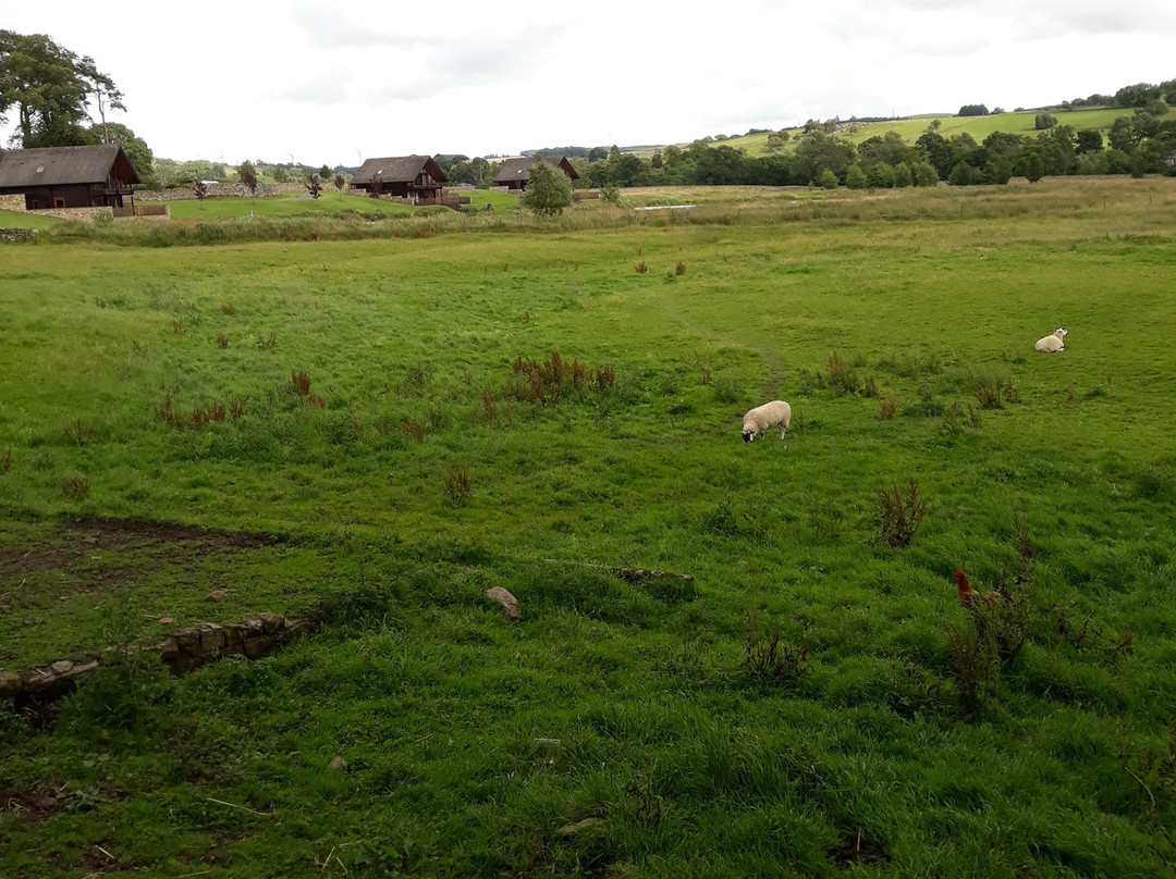 Yellow House Farm主图