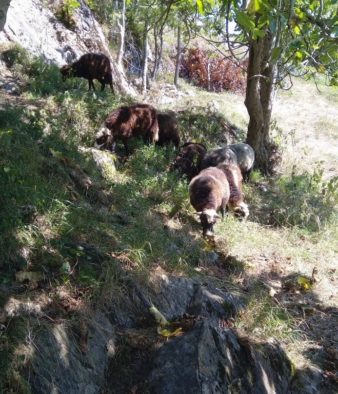 Ruta del Beyu Pen-Amieva必去景点