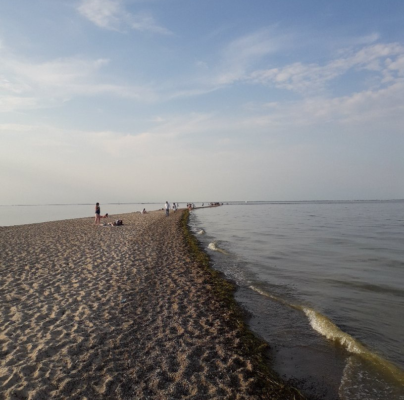 Beach in Rewa景点图片