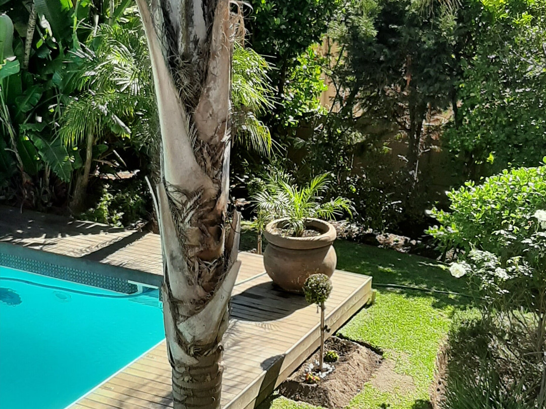 Eversview Guesthouse主图