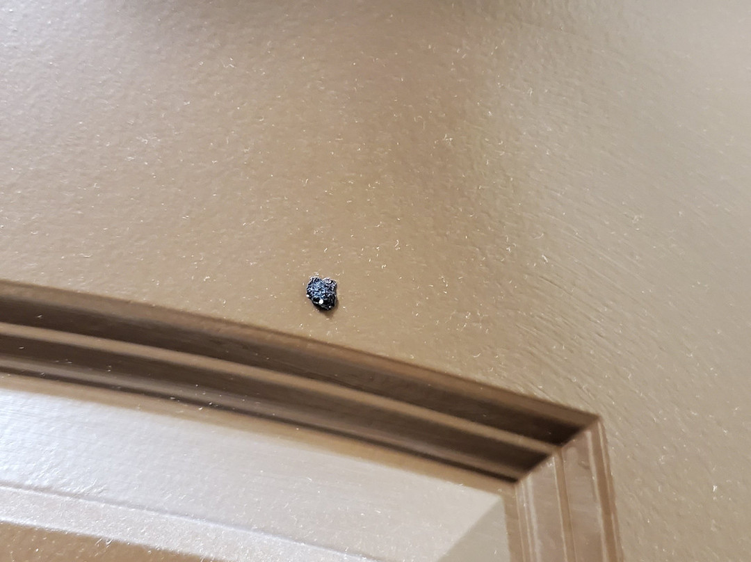 Best Western Pacific Inn主图