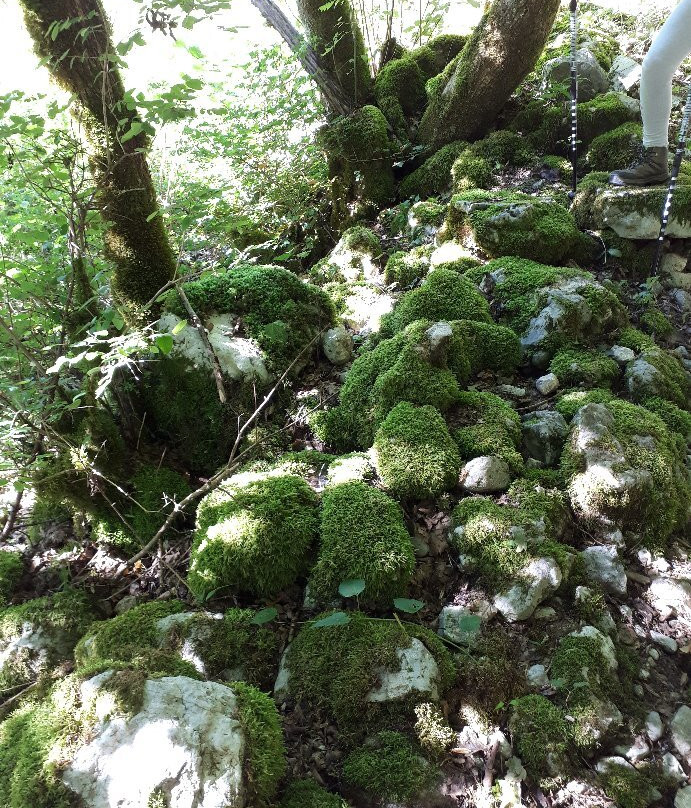 Cascade de Pissieu-Le Chatelard必去景点