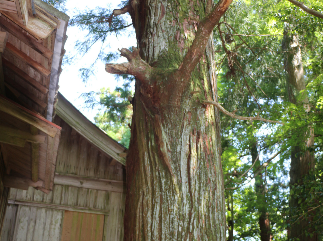 Amanoiwatowake Shrine-佐那河内村必去景点