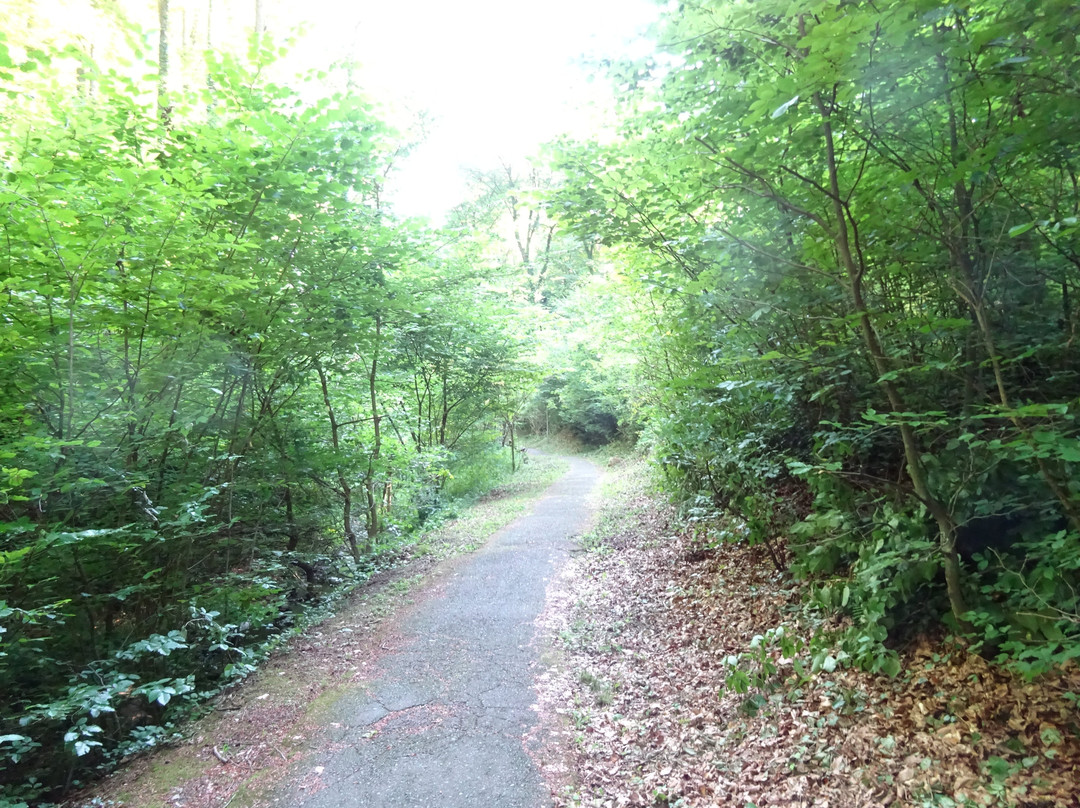 Gleichenberger Schlucht-泉格莱兴山必去景点