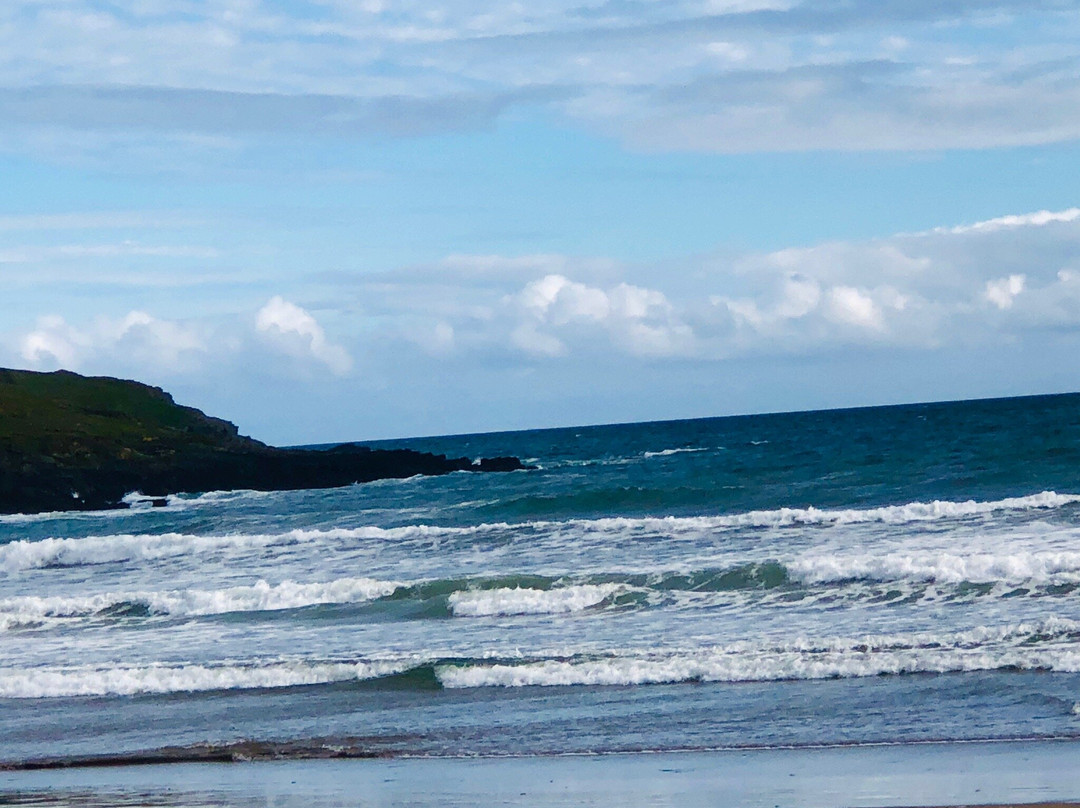 Swell Surf School景点图片