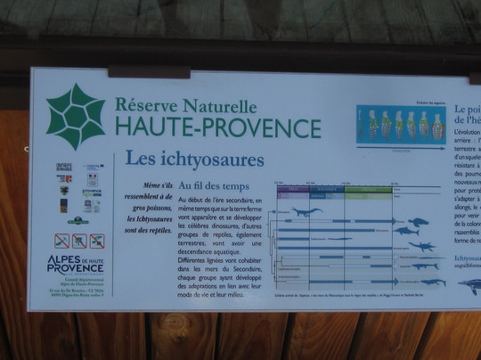 L'Ichtyosaure-La Robine-sur-Galabre必去景点