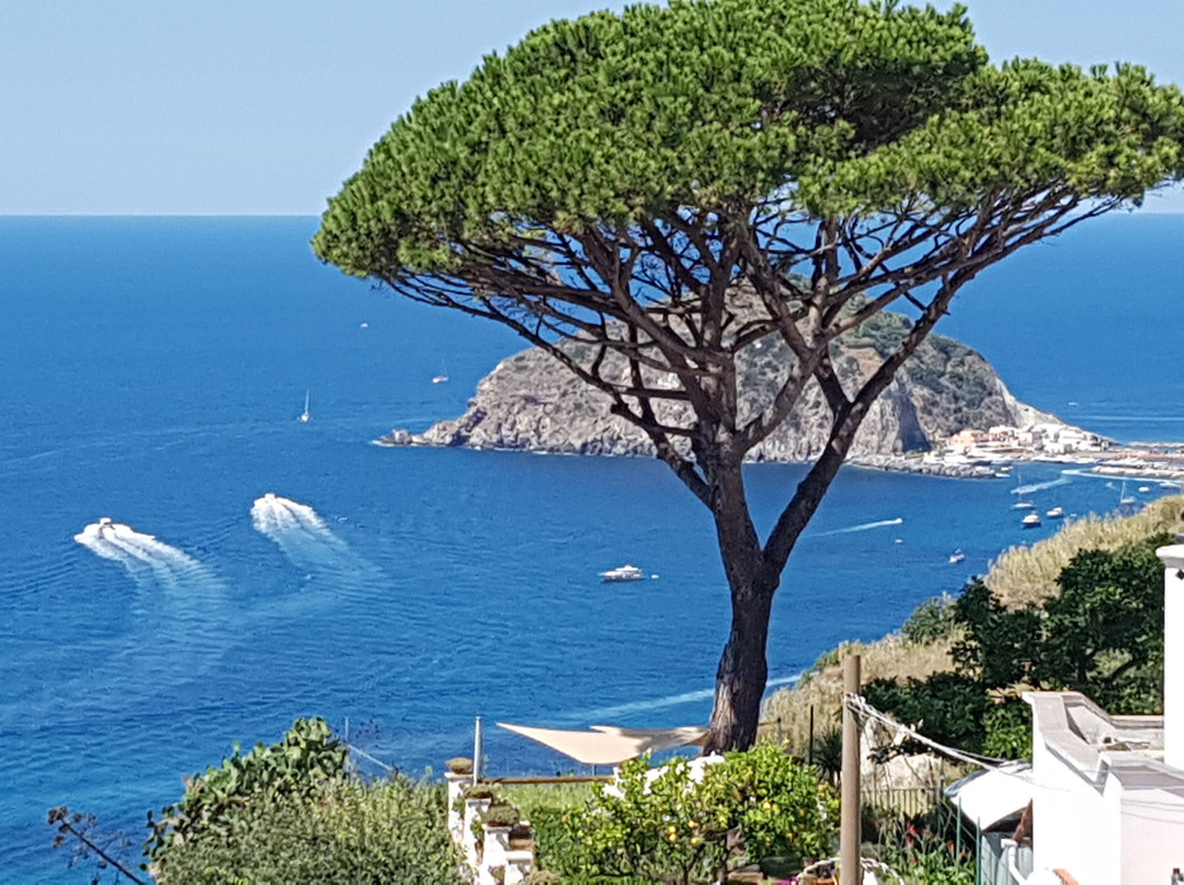 Albergo Villa Giusto主图