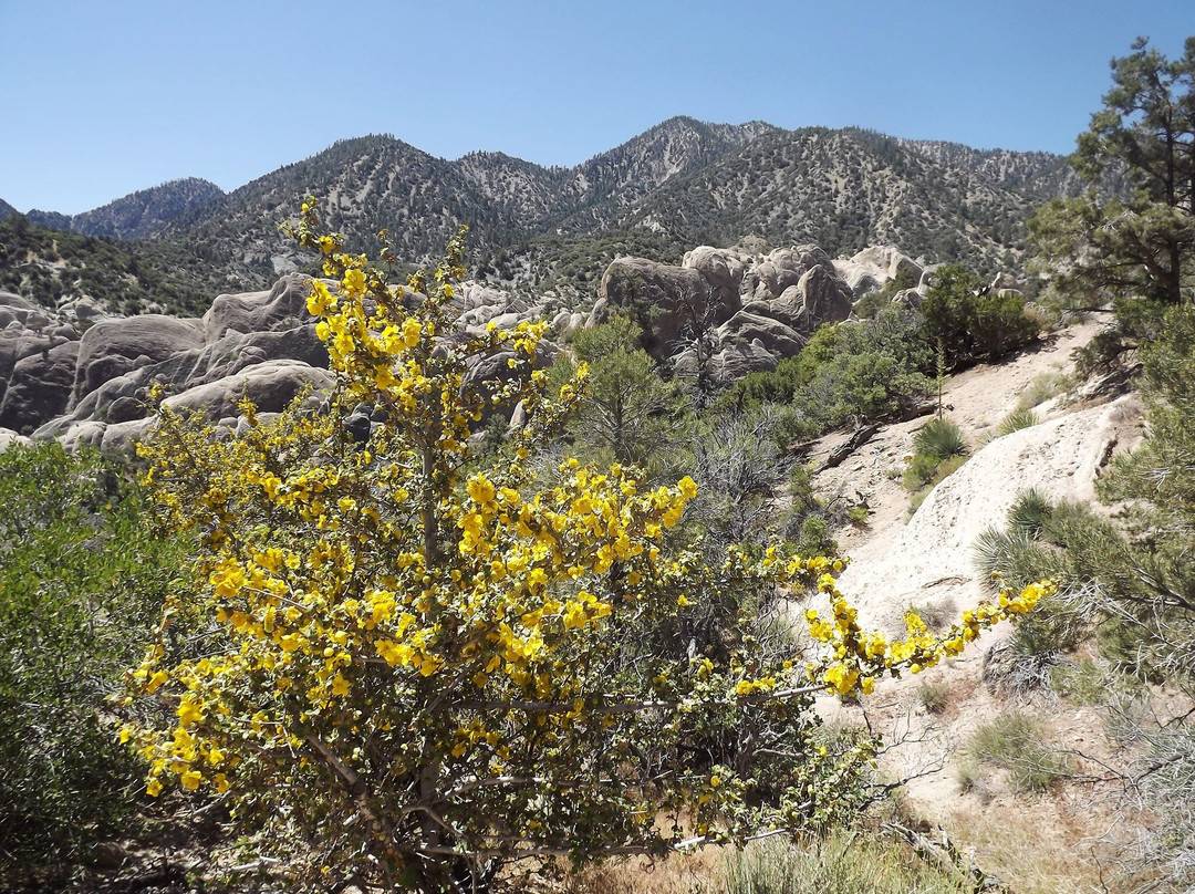 Devil's Punchbowl Natural Area and Nature Center景点图片
