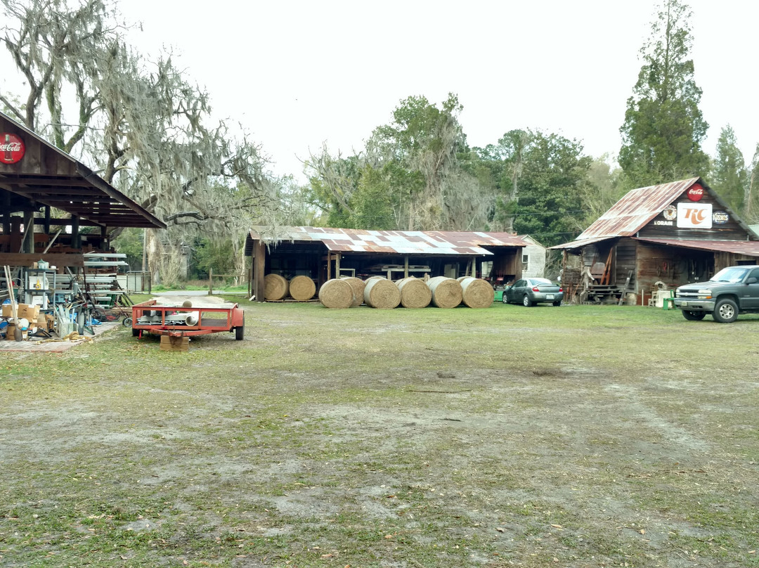 Suwannee Hardware & Feed-White Springs必去景点