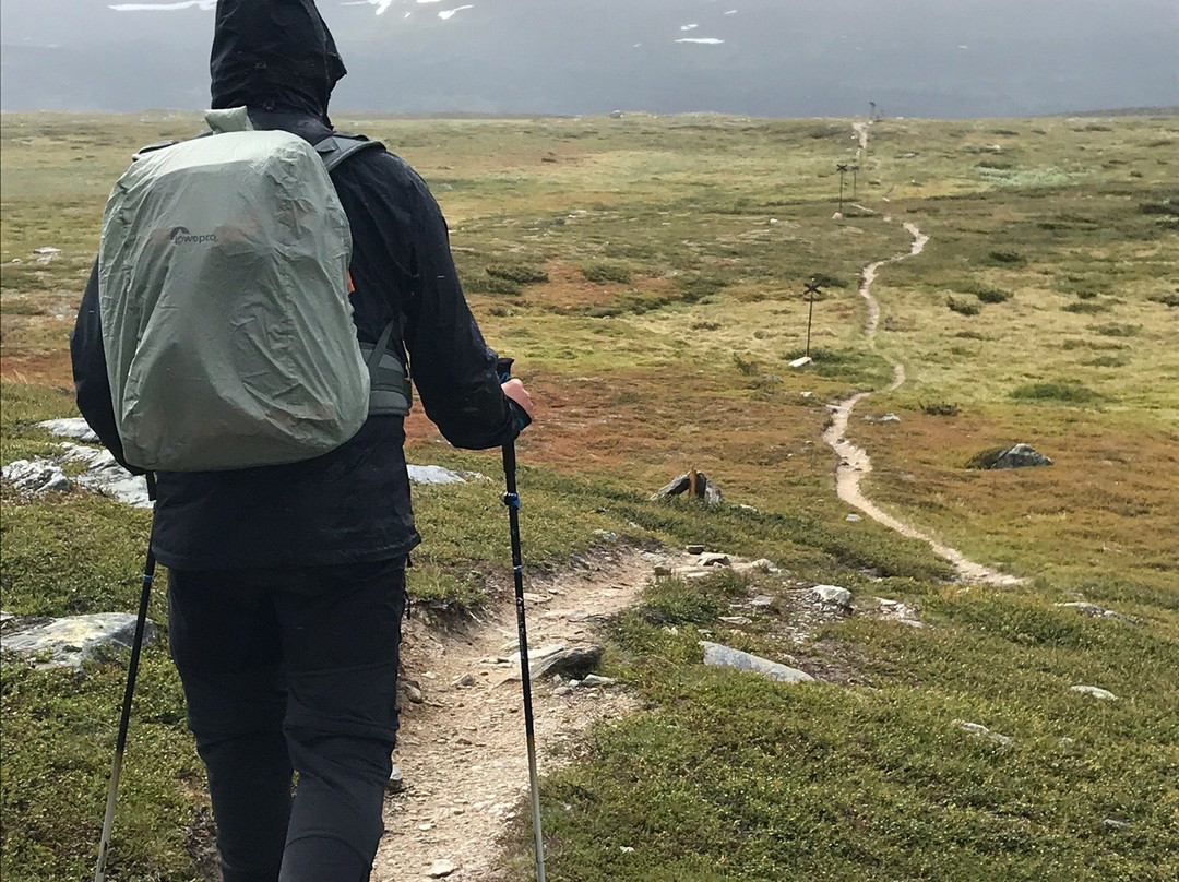 Eriksgardens Fjallhotell主图