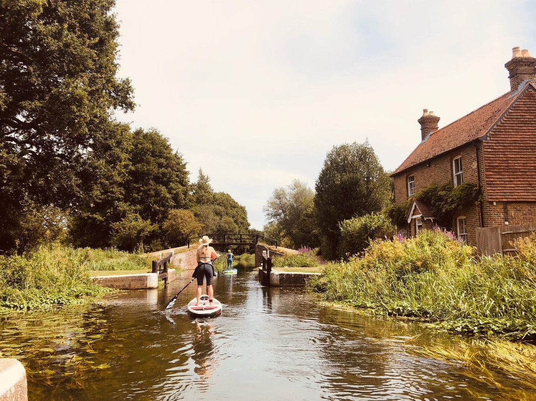 The Surrey Hills Adventure Company景点图片