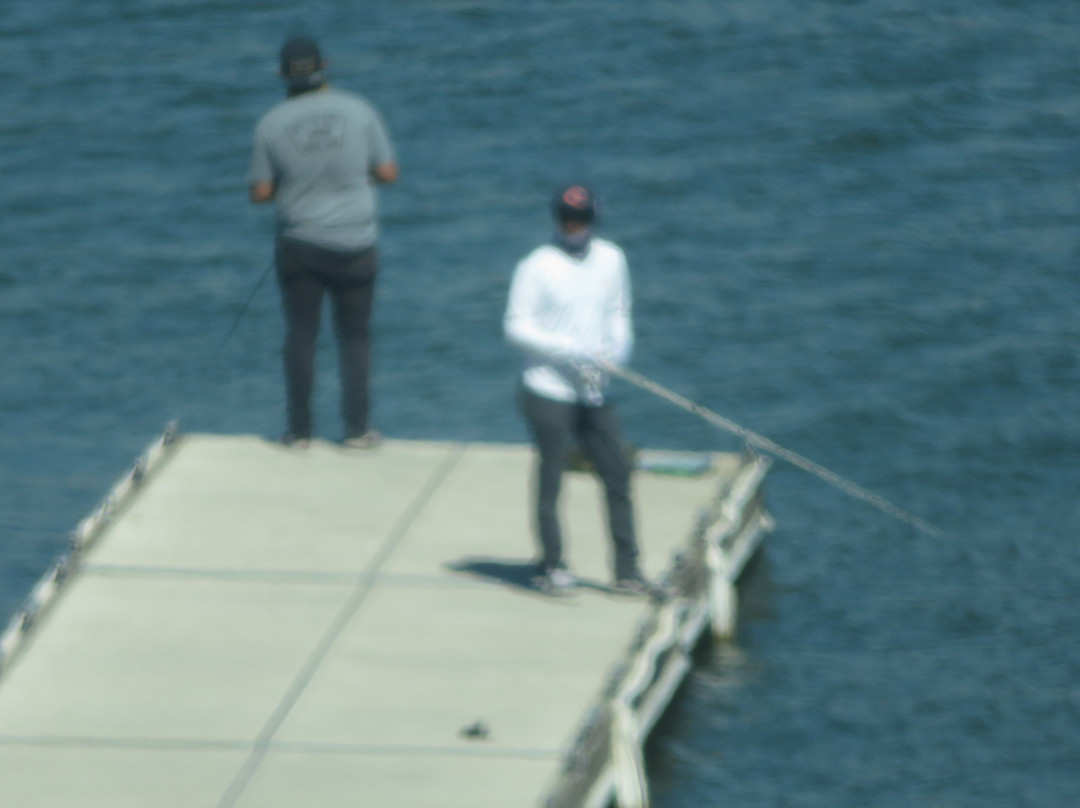 Lake San Antonio-蒙特雷半岛必去景点
