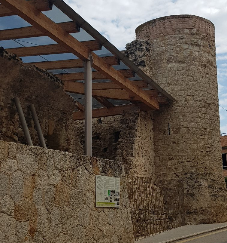 Termes Romanes, Caldes de Malavella景点图片