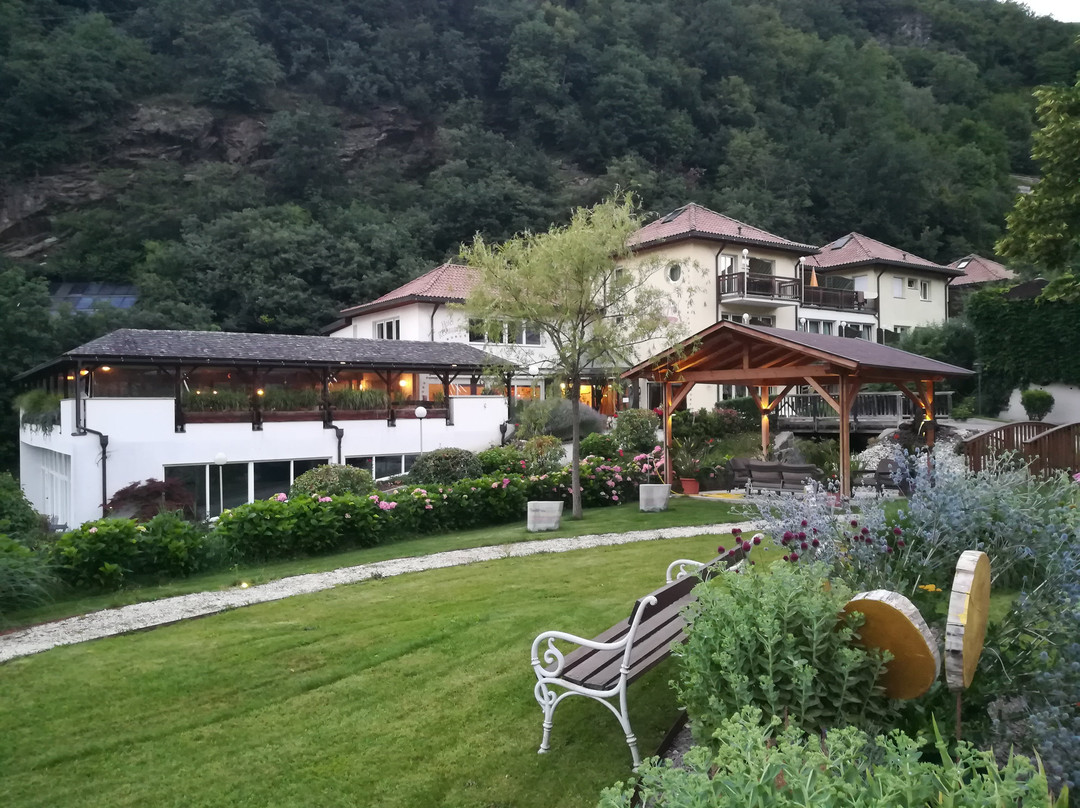 Hotel Restaurant Der Rierhof主图