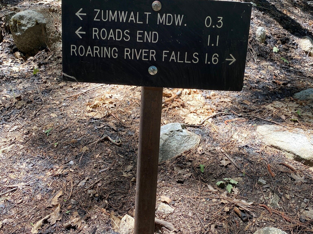 Zumwalt Meadow Trail-红杉&国王峡谷国家公园必去景点