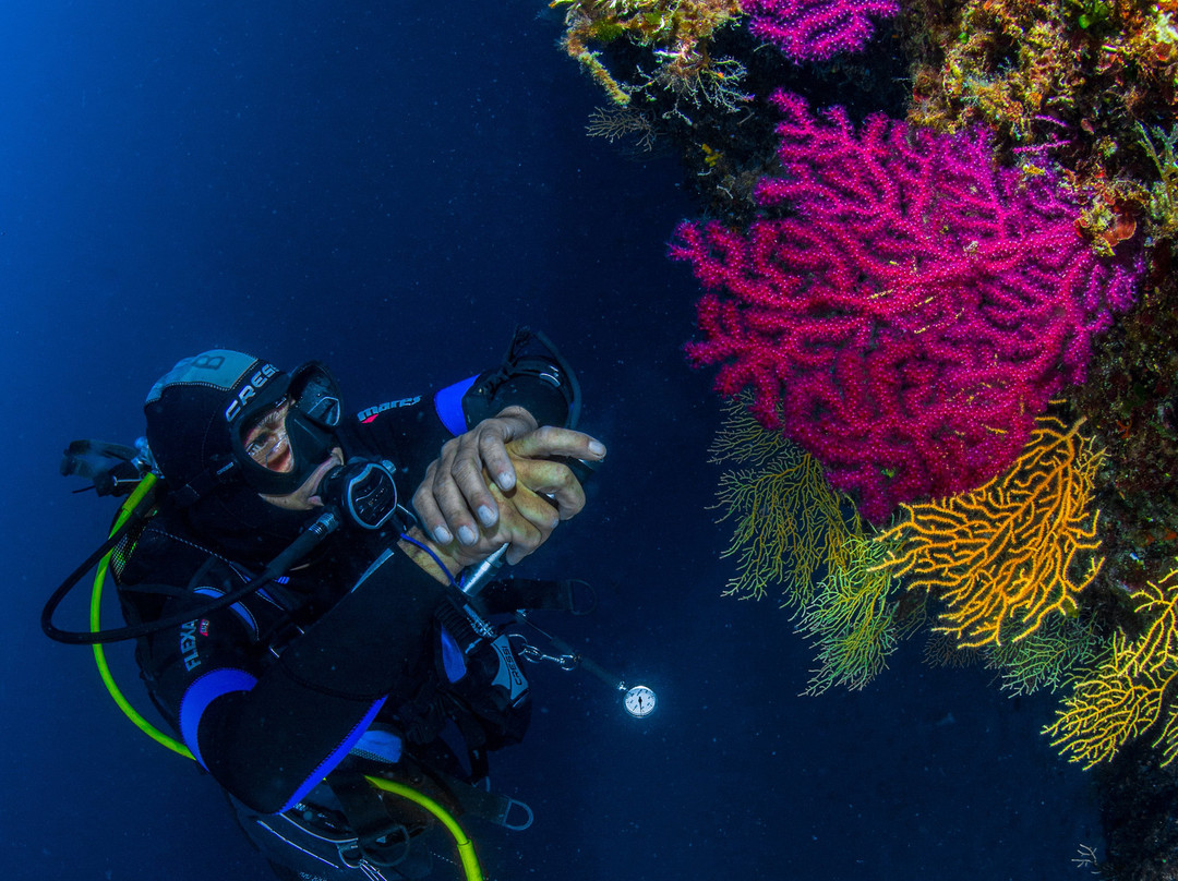 Aqualis Diving Center Hvar景点图片