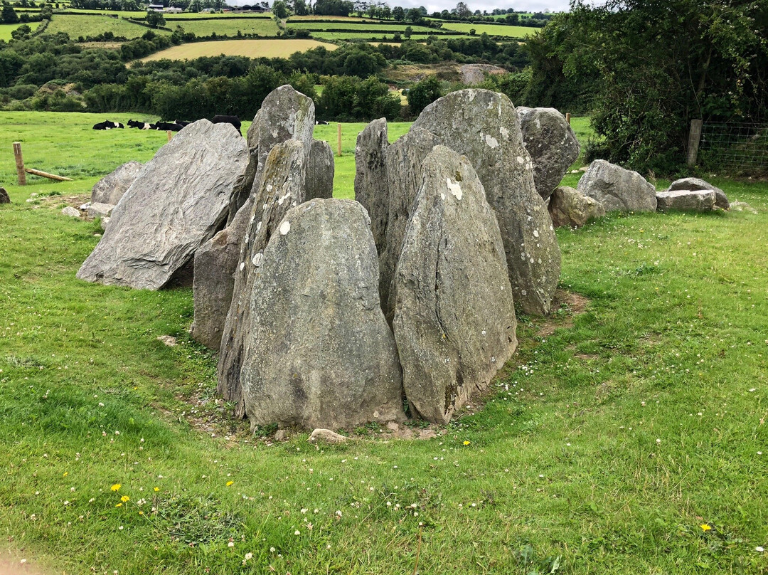 Knockroe Passage Tomb-基尔肯尼必去景点