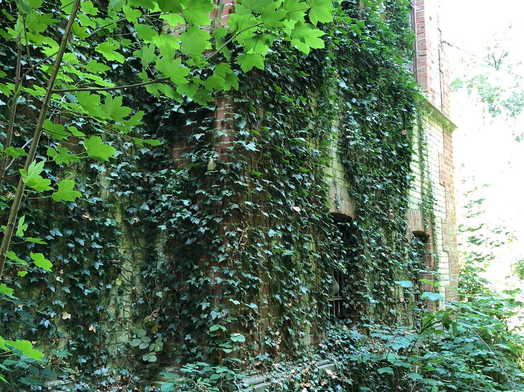 Steinfurter Bagno-Steinfurt必去景点