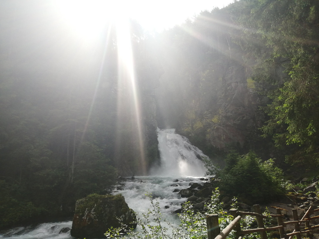 Alphotel Stocker主图