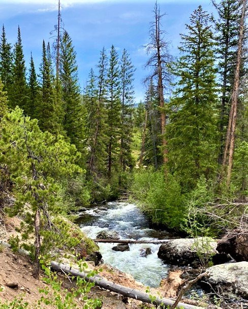 Adams Falls Trail景点图片