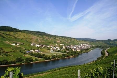 Weingut Brennerei Gastehaus Dauns主图