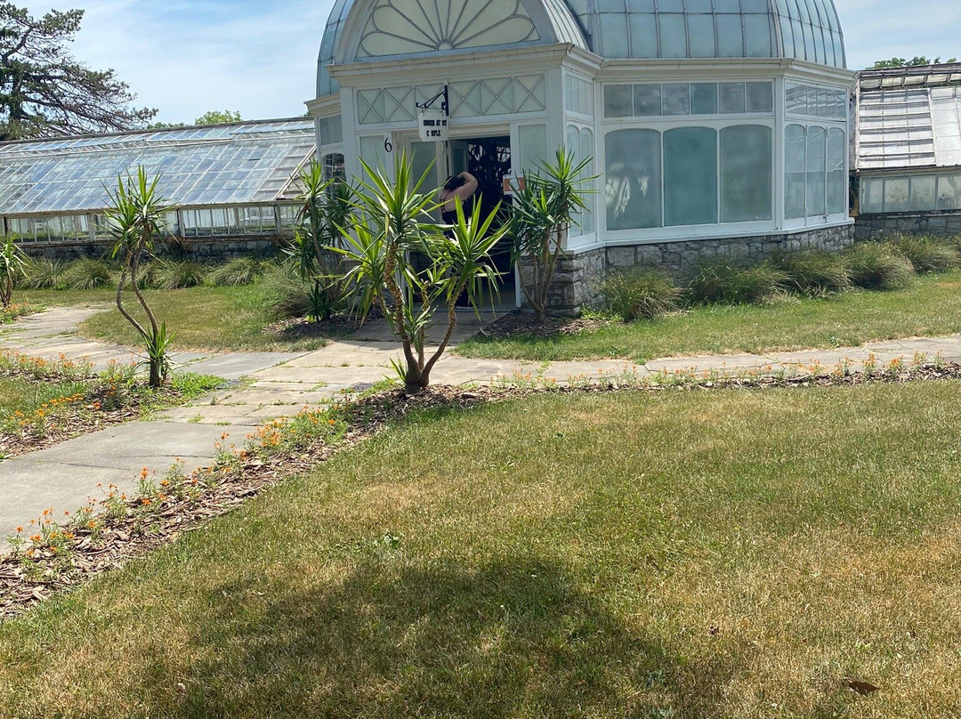 Sonnenberg Gardens & Mansion State Historic Park景点图片
